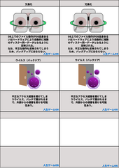 golos-cards-4-x241.png